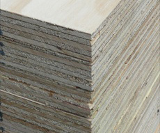 Ply Wood